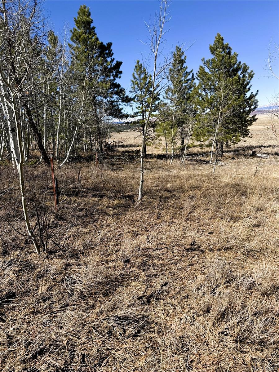 0000 Campfire Road Hartsel CO 80449