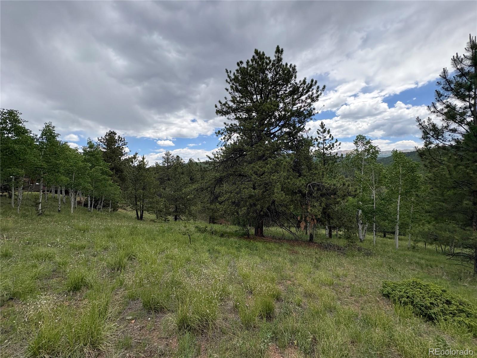532 May Queen Drive Cripple Creek CO 80813