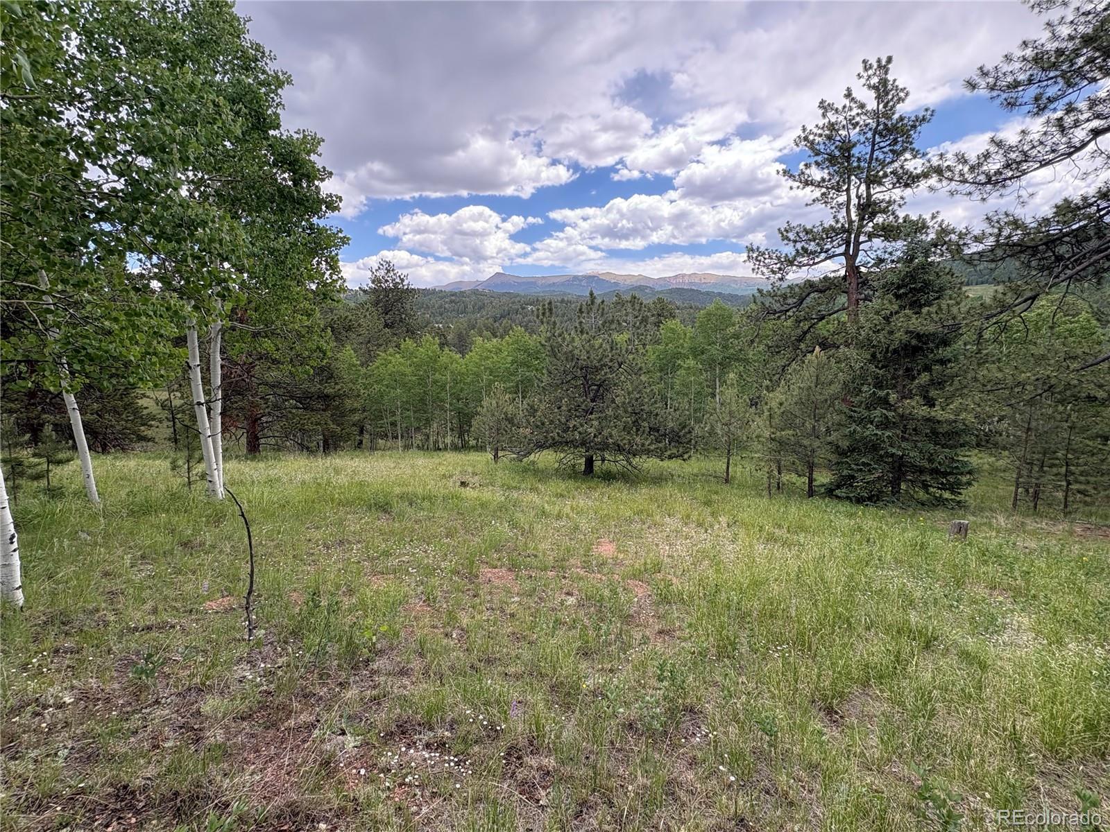532 May Queen Drive Cripple Creek CO 80813
