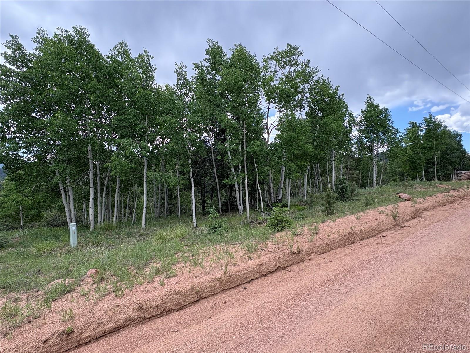 532 May Queen Drive Cripple Creek CO 80813