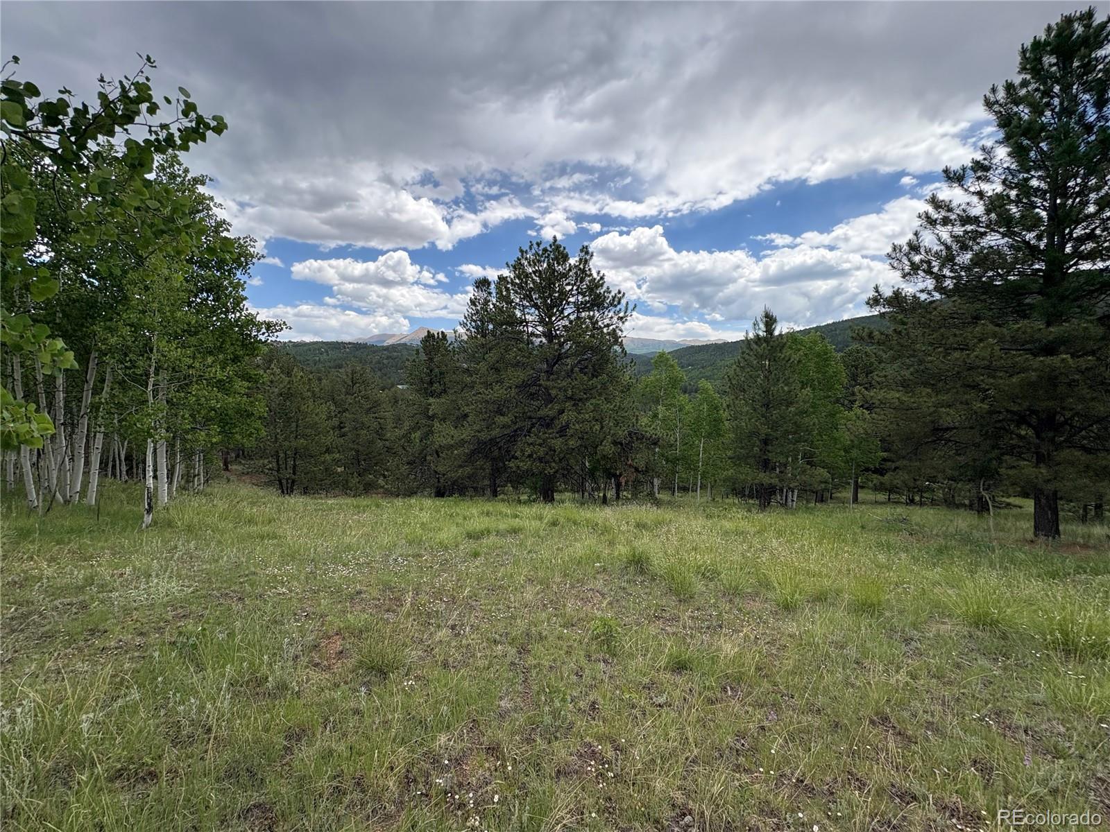 532 May Queen Drive Cripple Creek CO 80813