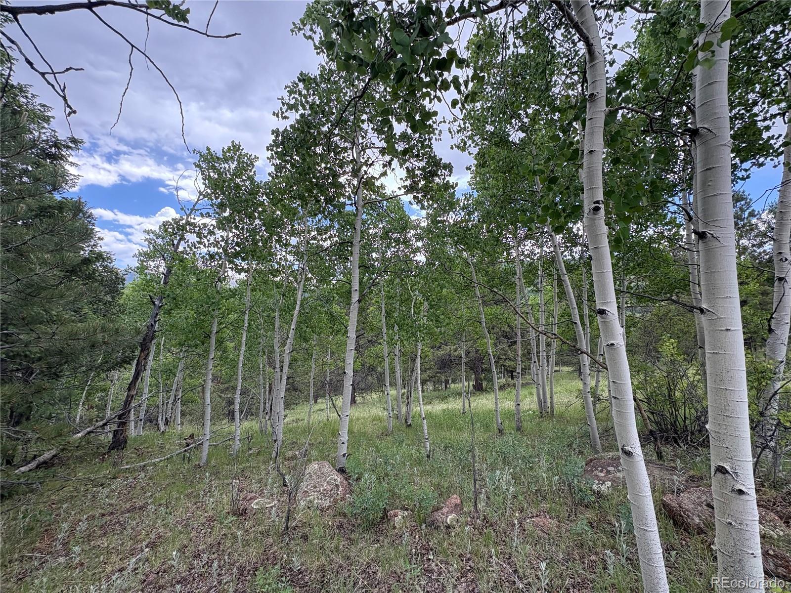532 May Queen Drive Cripple Creek CO 80813