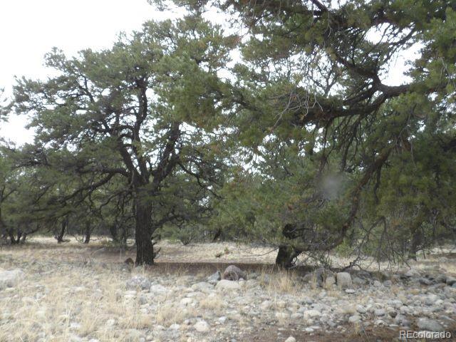 3730 Cordial Way Crestone CO 81131