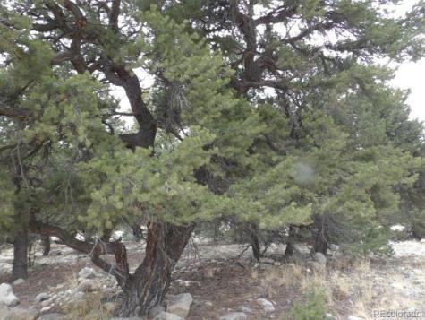 3730 Cordial Way Crestone CO 81131