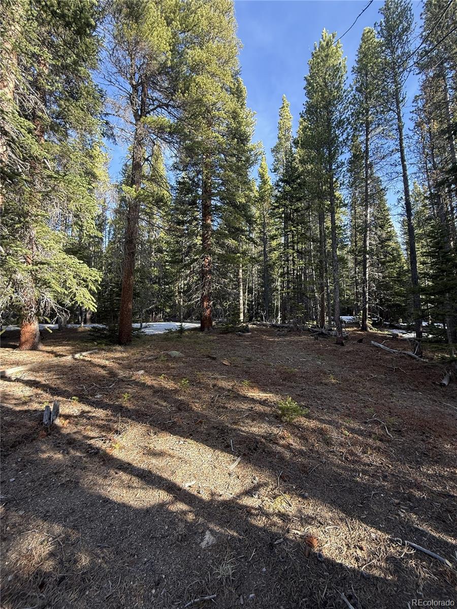 611 Silver Creek Road Idaho Springs CO 80452
