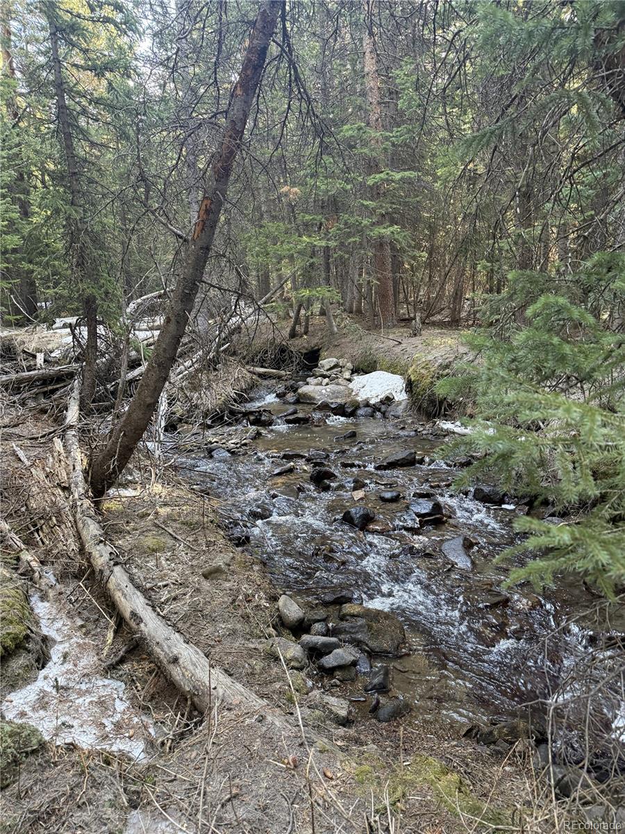 611 Silver Creek Road Idaho Springs CO 80452