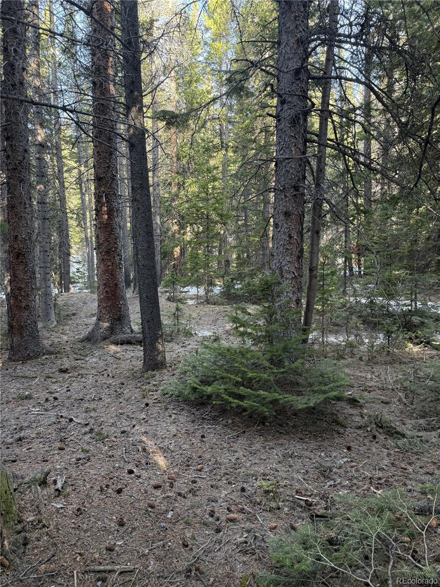 611 Silver Creek Road Idaho Springs CO 80452