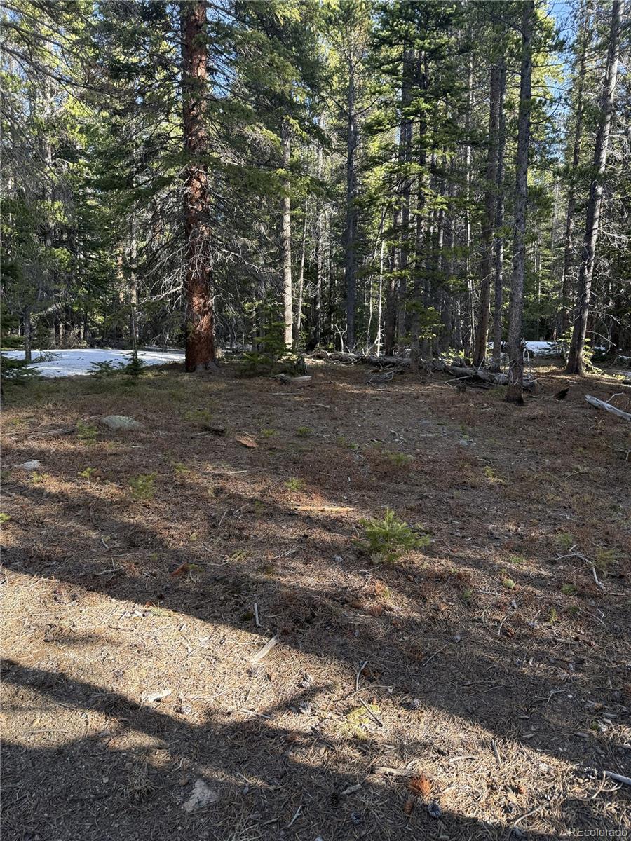 611 Silver Creek Road Idaho Springs CO 80452