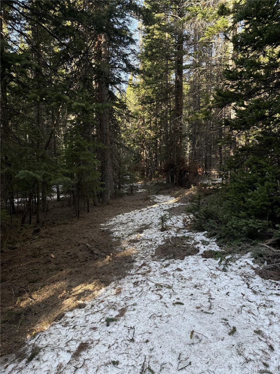 611 Silver Creek Road Idaho Springs CO 80452