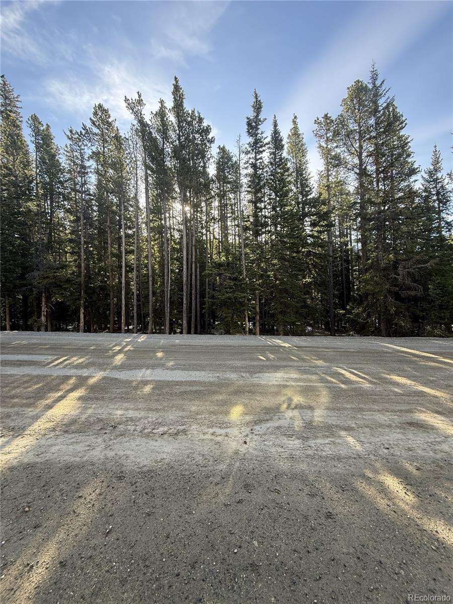 611 Silver Creek Road Idaho Springs CO 80452