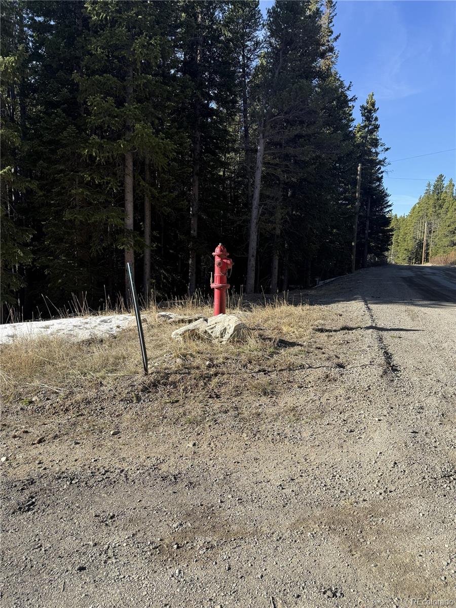 611 Silver Creek Road Idaho Springs CO 80452