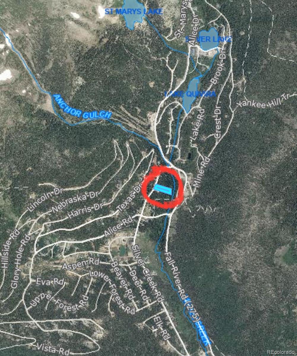 611 Silver Creek Road Idaho Springs CO 80452