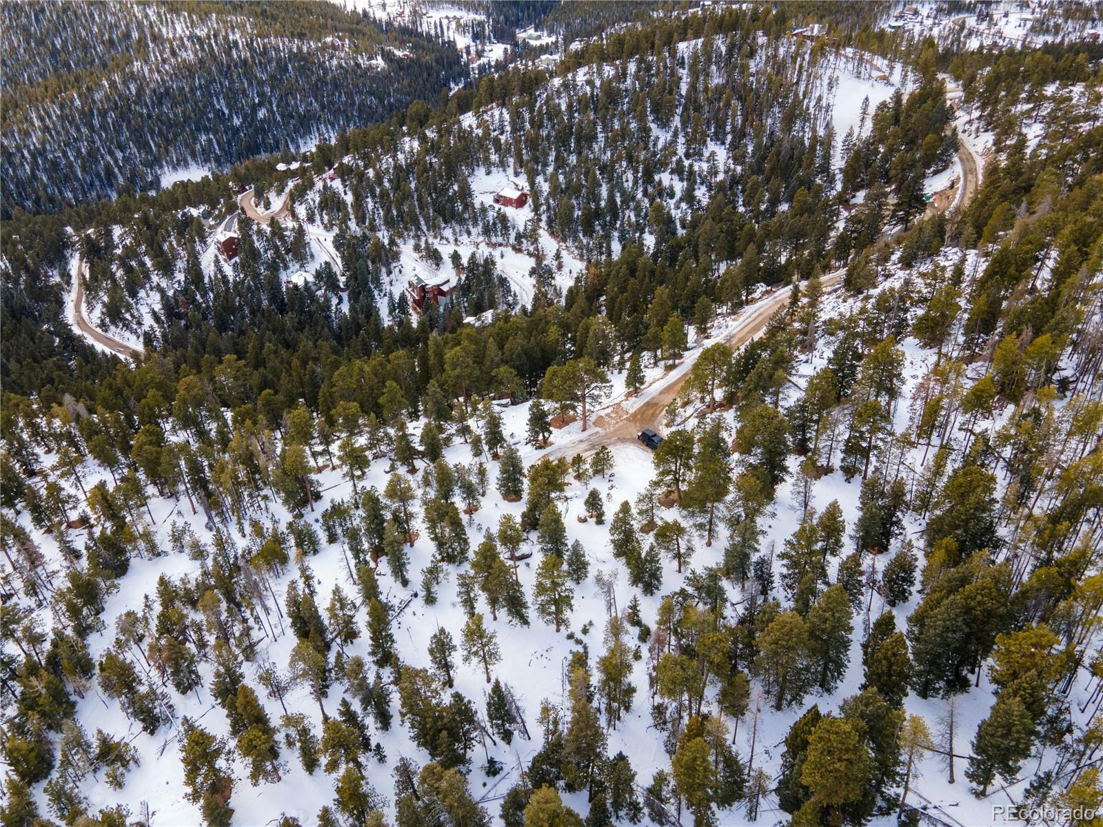32593 Lodgepole Drive Evergreen CO 80439