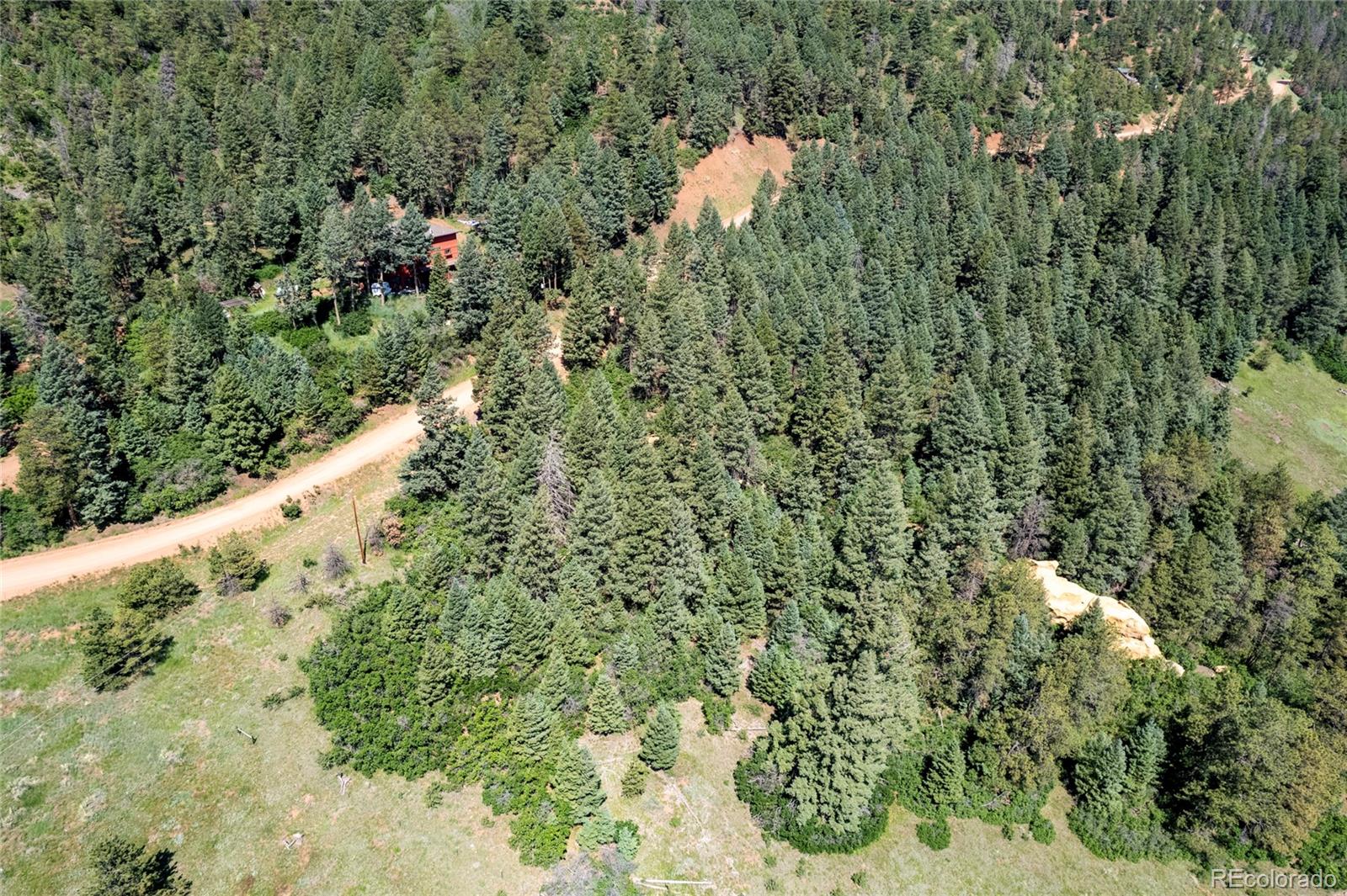 13665 Woodmoor West Drive Larkspur CO 80118
