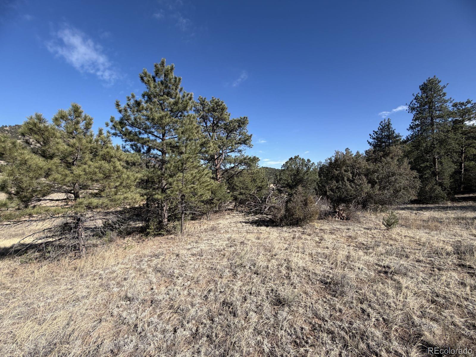 000 Canyon Road Cotopaxi CO 81223