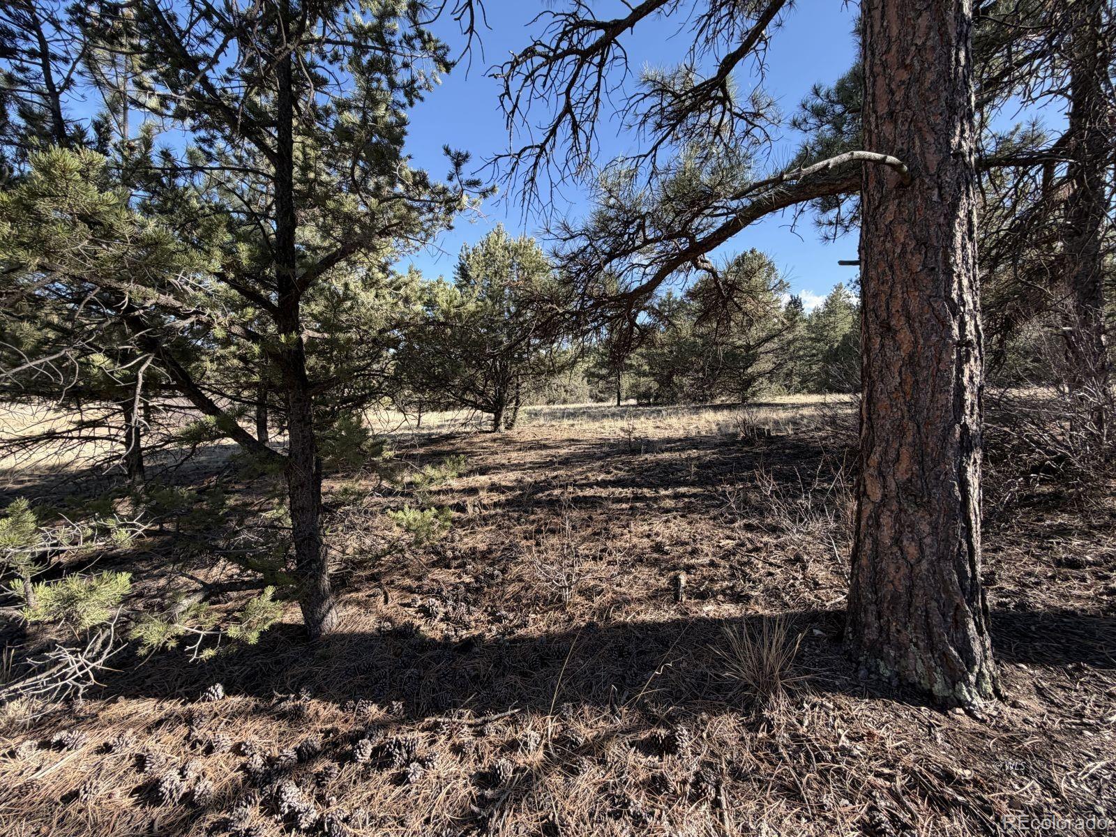 000 Canyon Road Cotopaxi CO 81223