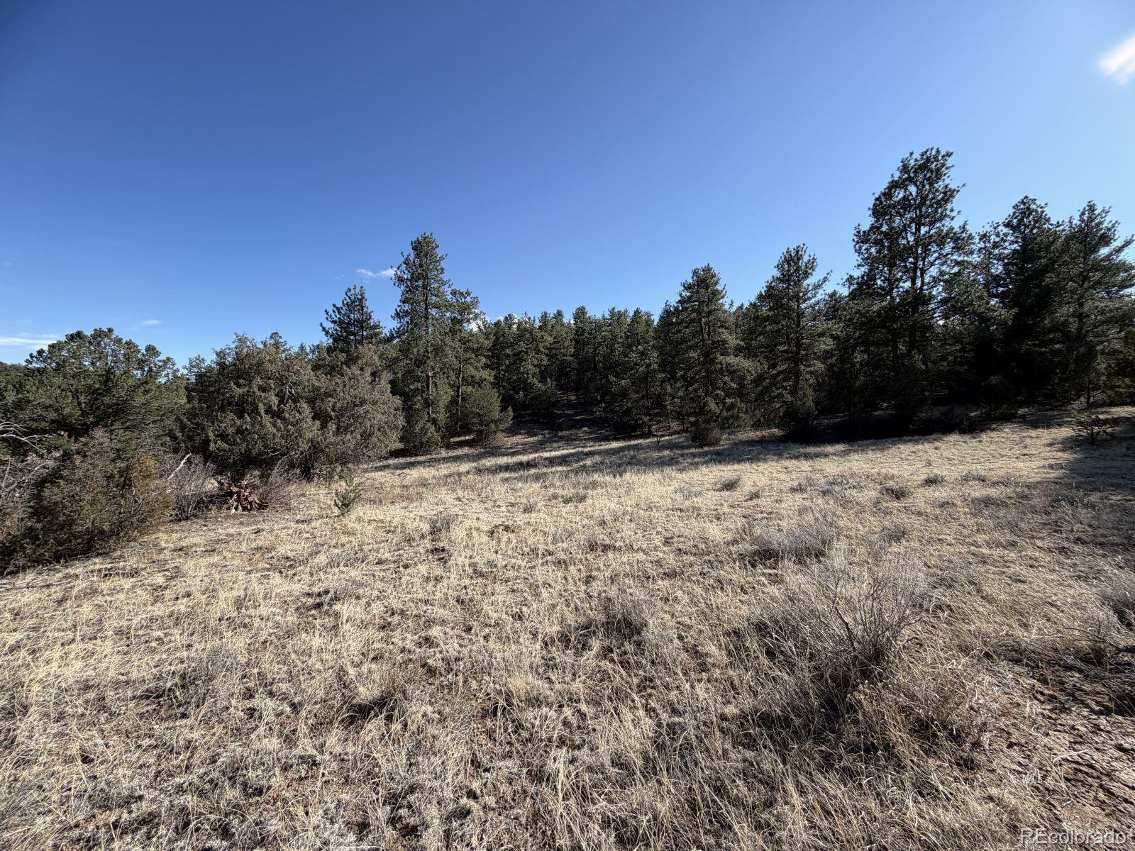 000 Canyon Road Cotopaxi CO 81223