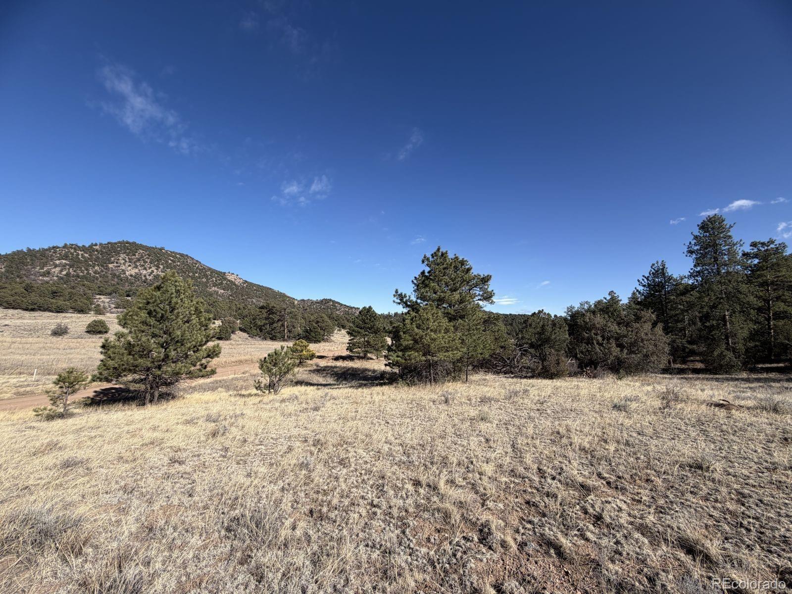000 Canyon Road Cotopaxi CO 81223