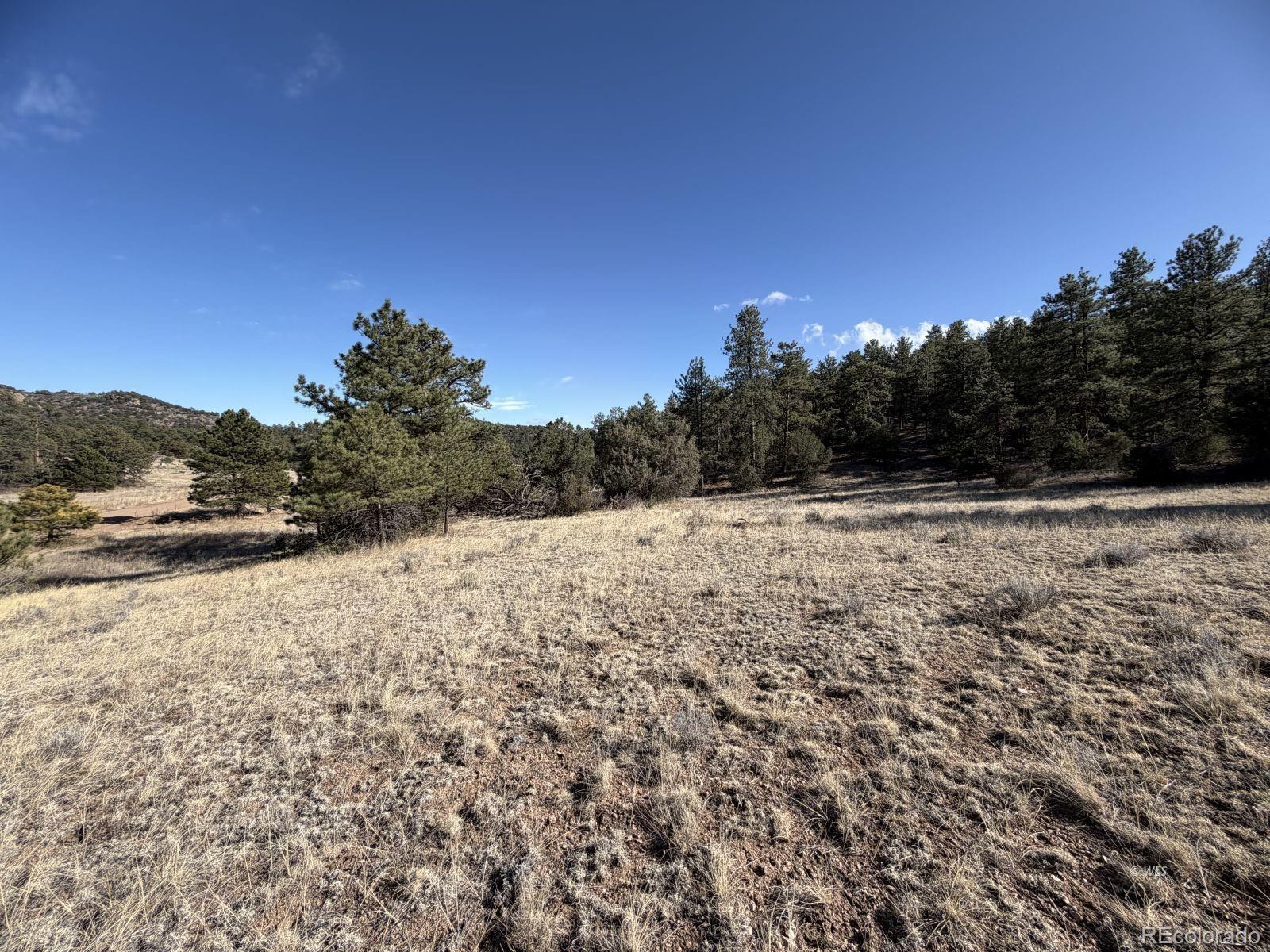 000 Canyon Road Cotopaxi CO 81223