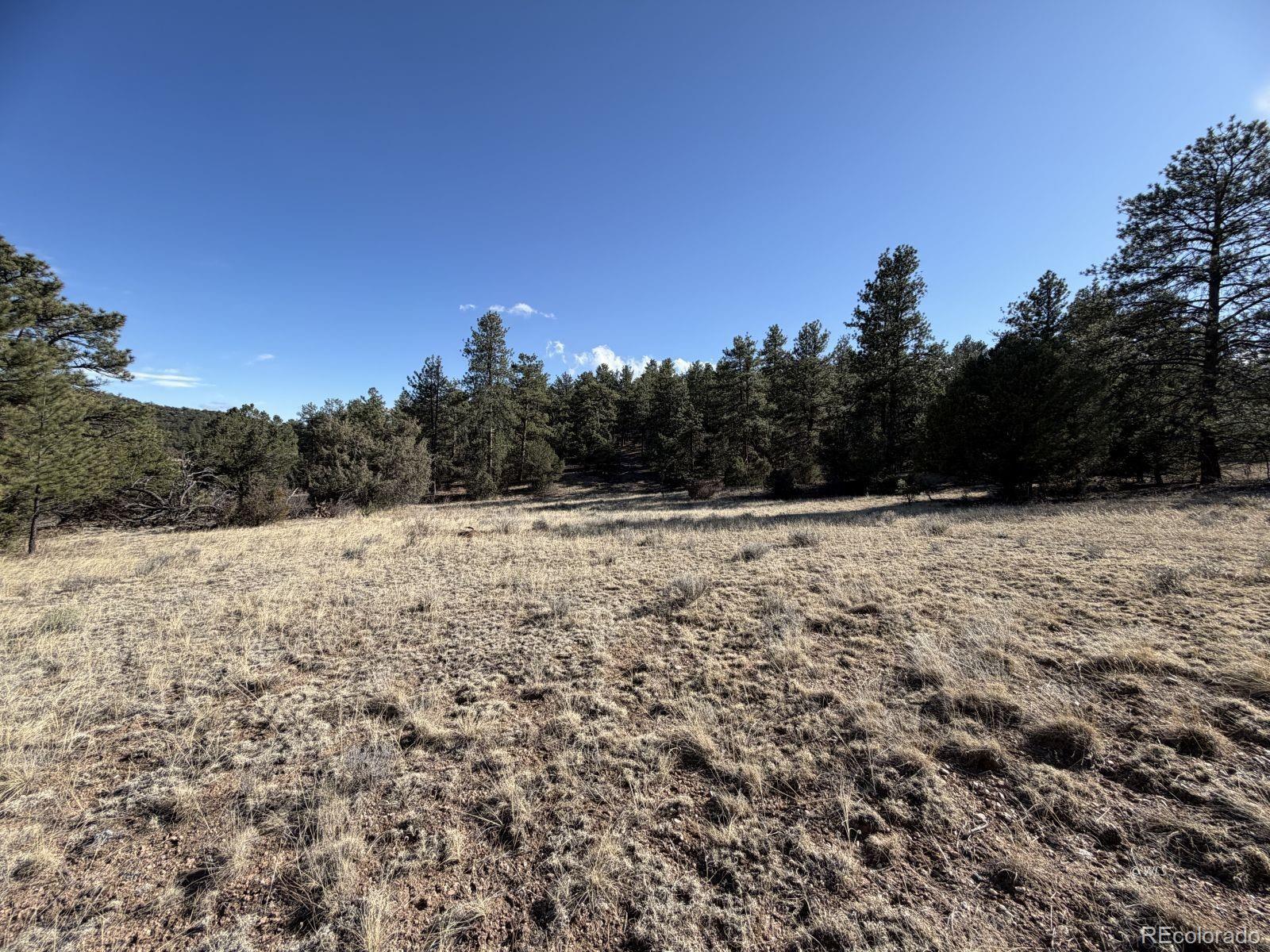 000 Canyon Road Cotopaxi CO 81223