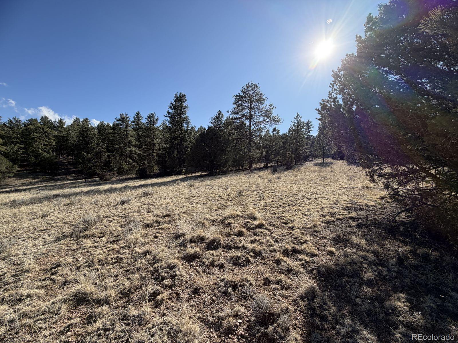 000 Canyon Road Cotopaxi CO 81223