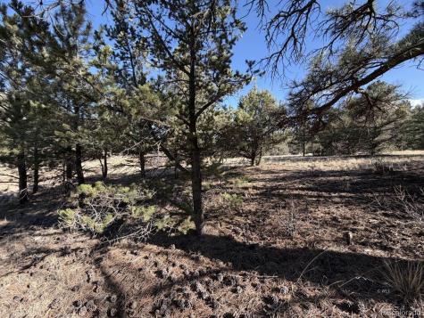000 Canyon Road Cotopaxi CO 81223