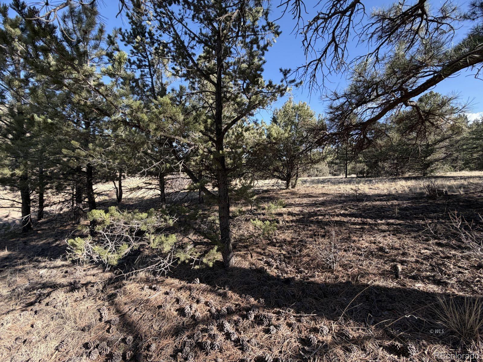 000 Canyon Road Cotopaxi CO 81223