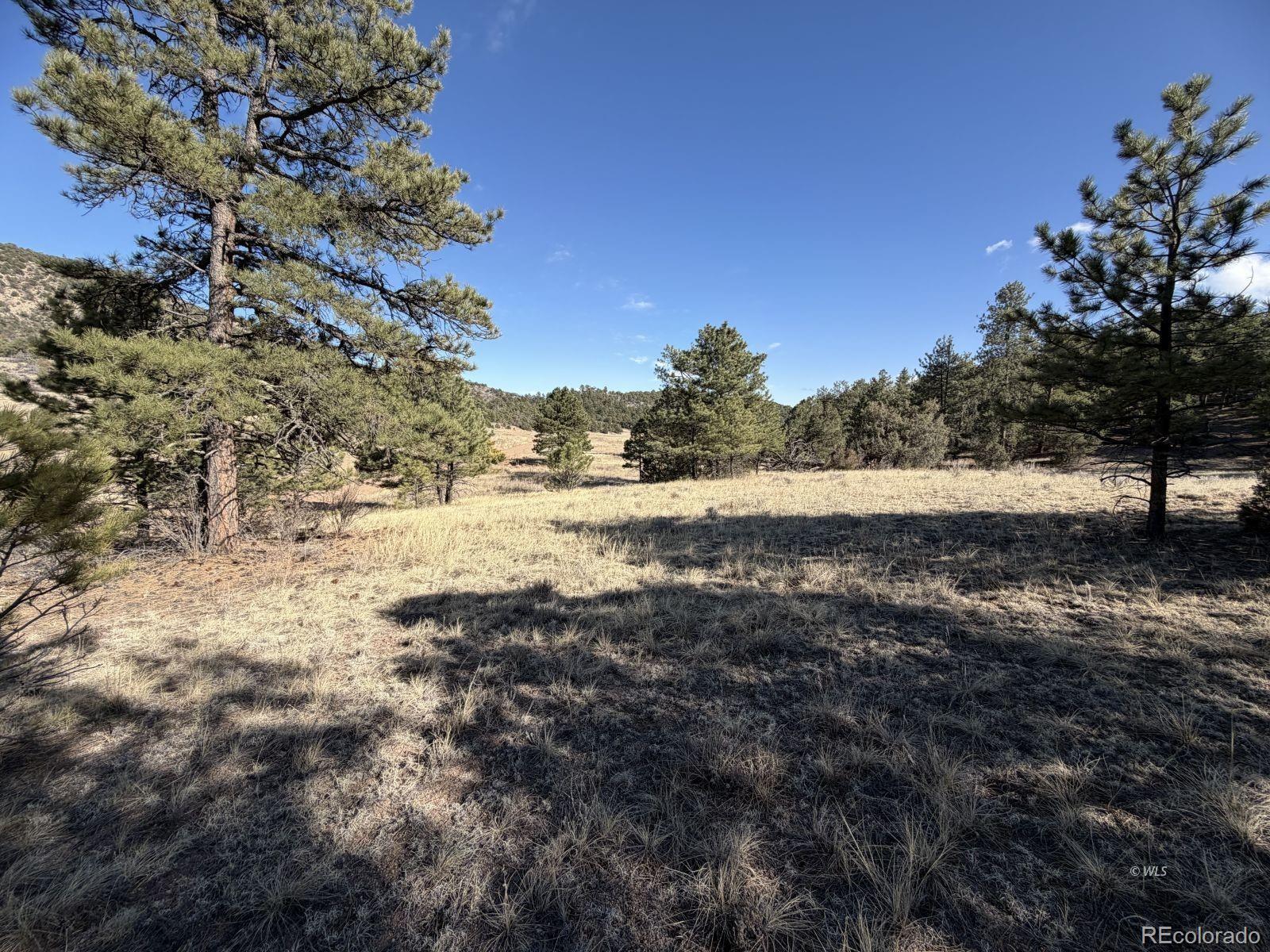000 Canyon Road Cotopaxi CO 81223