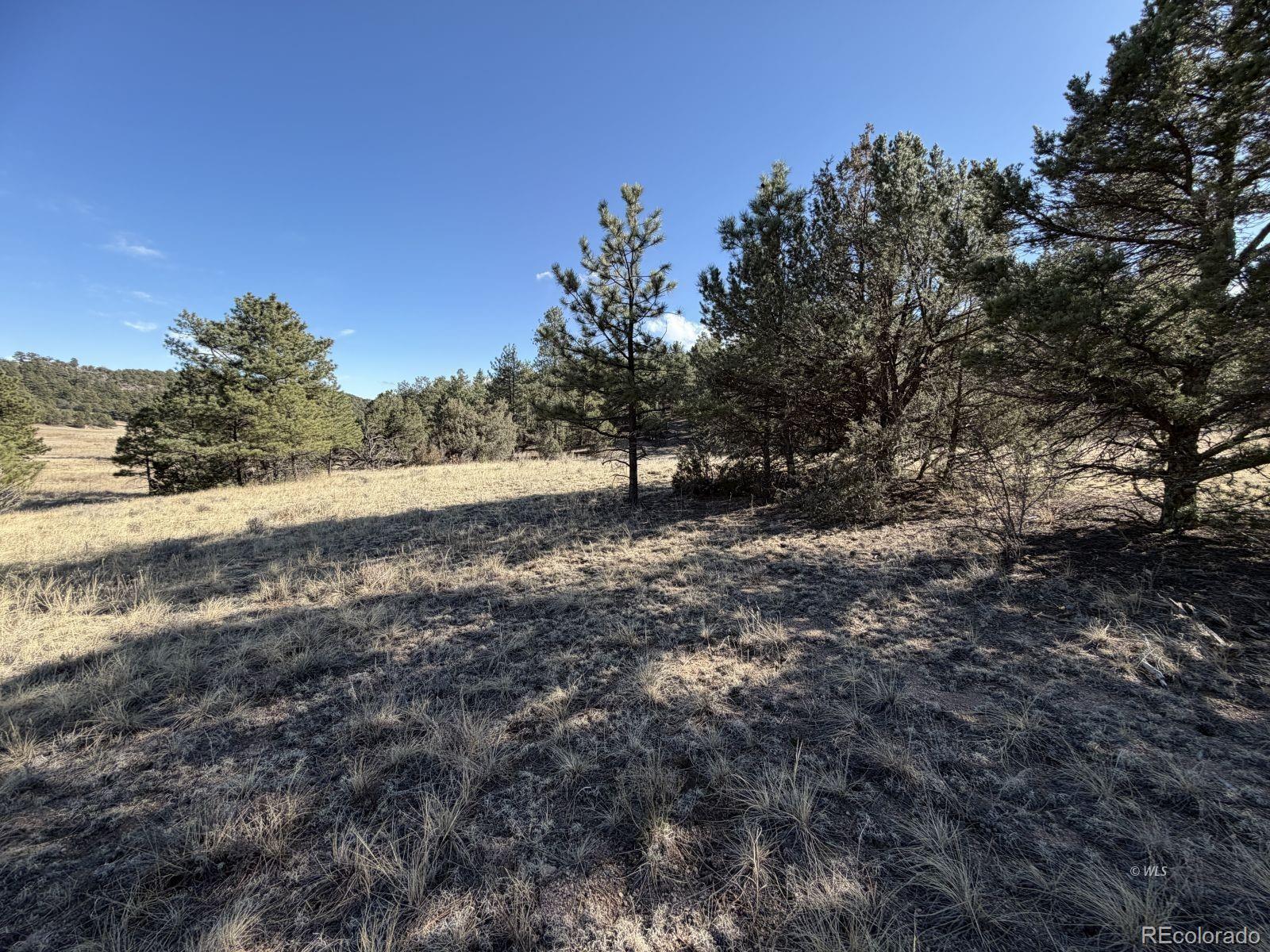 000 Canyon Road Cotopaxi CO 81223