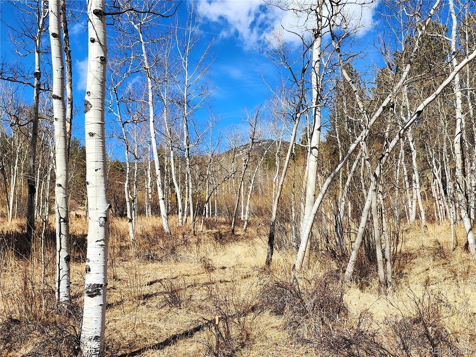 144 Gray Street Bailey CO 80421