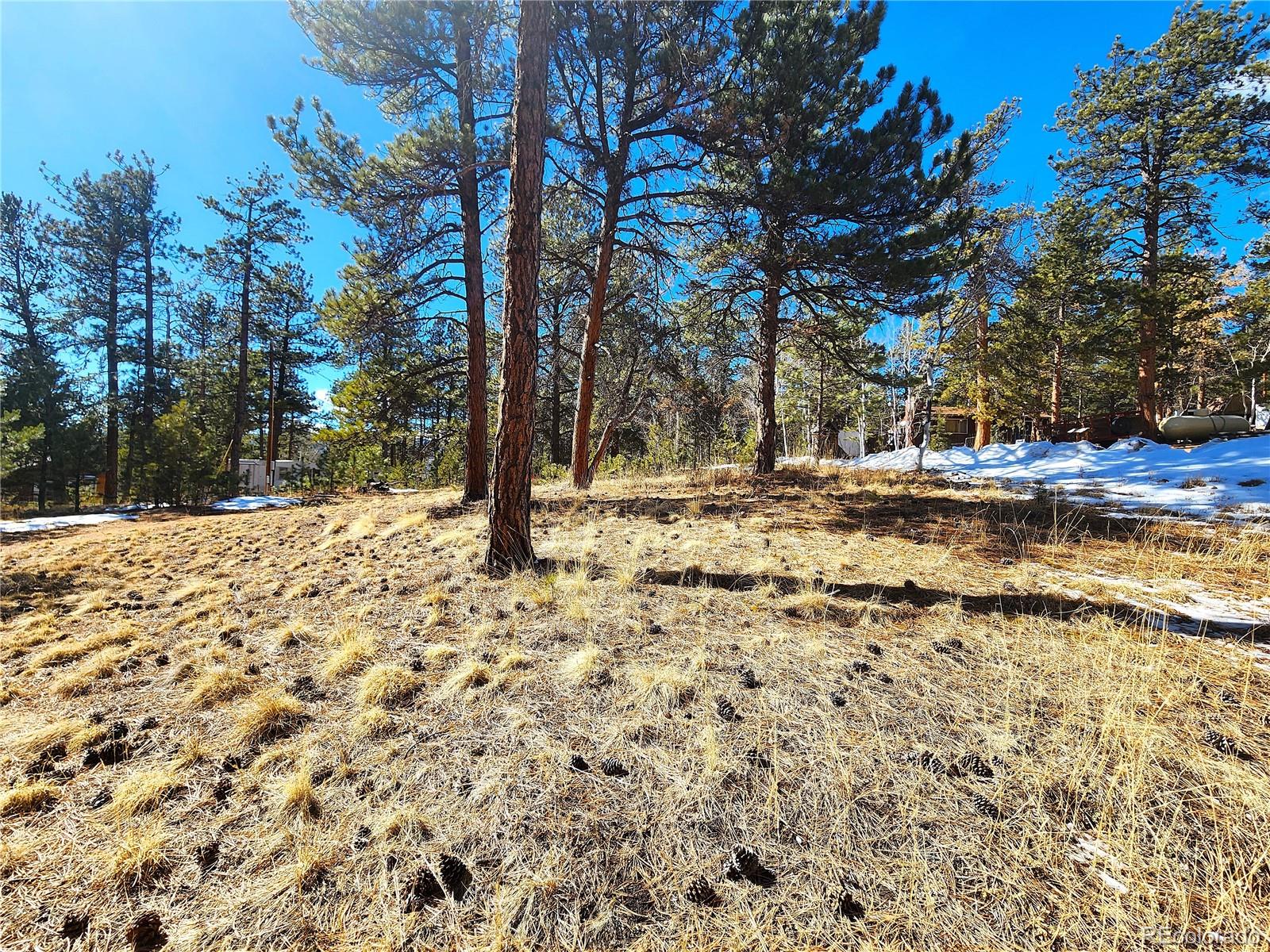 144 Gray Street Bailey CO 80421