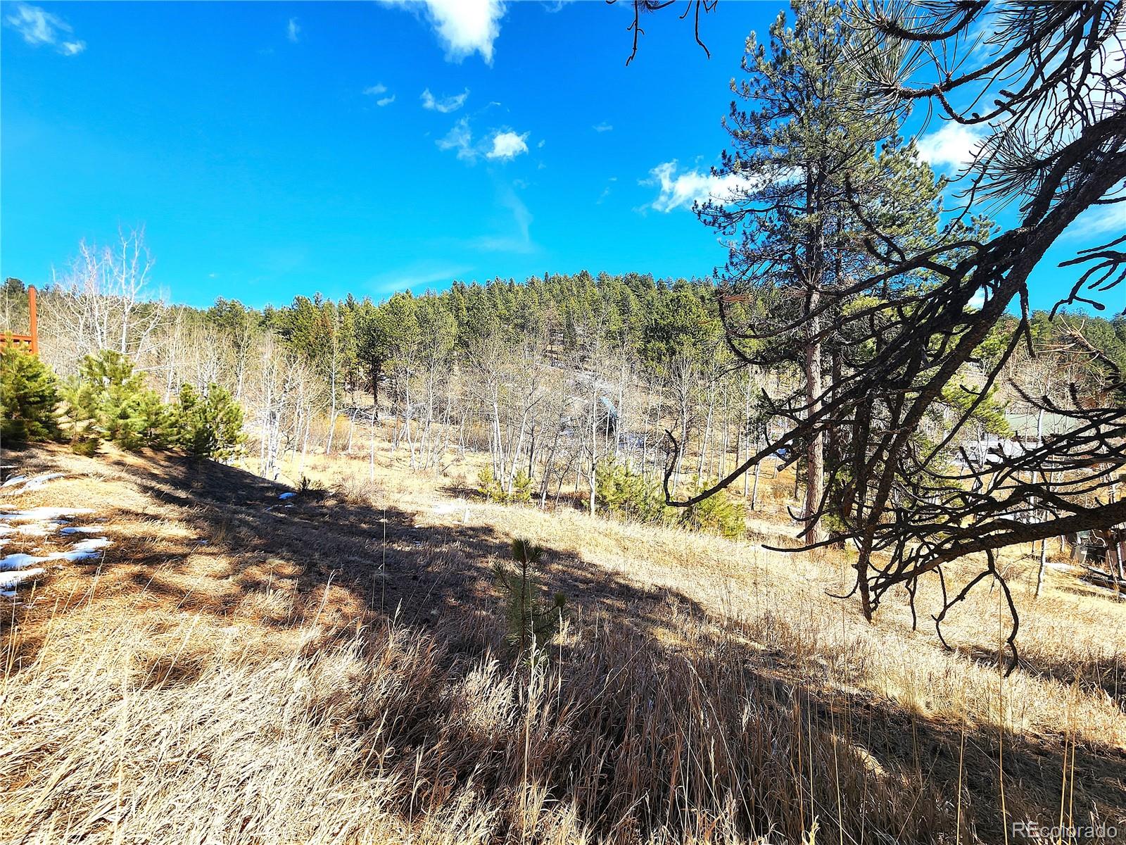 144 Gray Street Bailey CO 80421