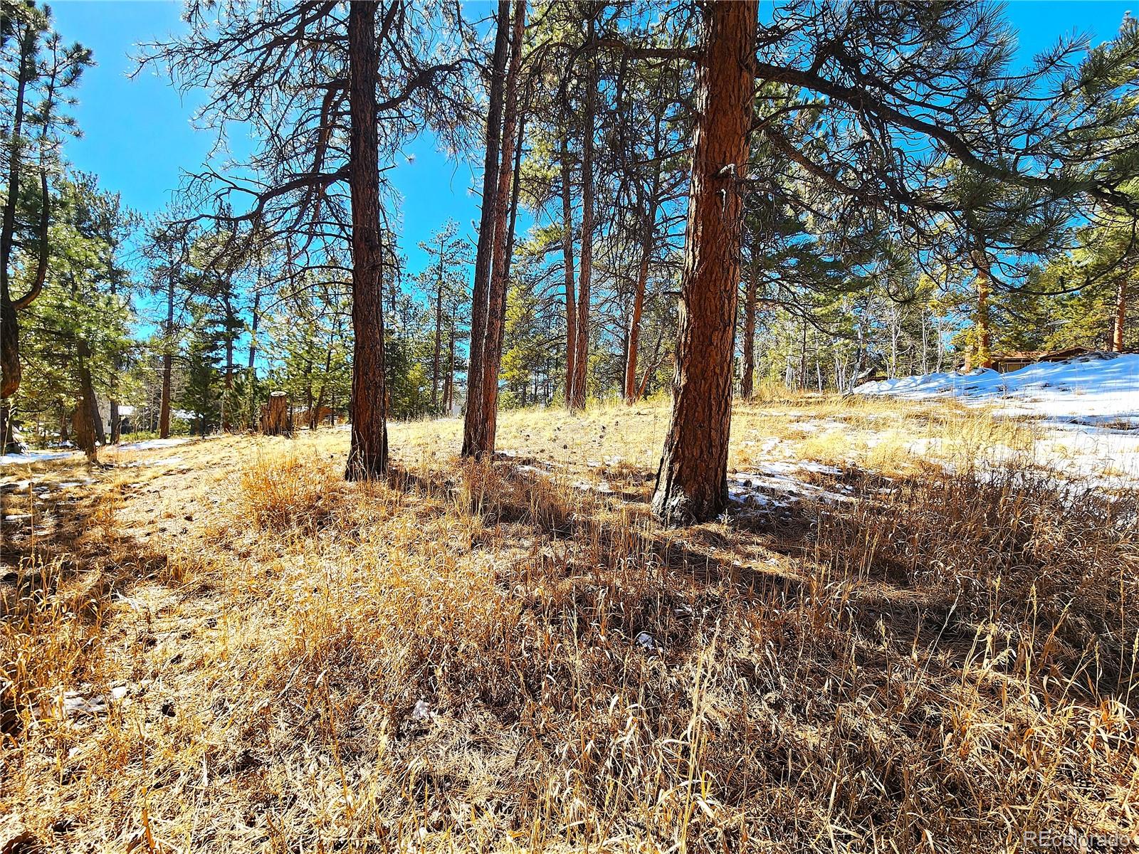144 Gray Street Bailey CO 80421