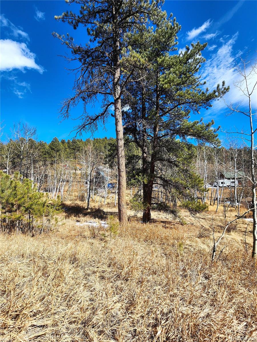 144 Gray Street Bailey CO 80421
