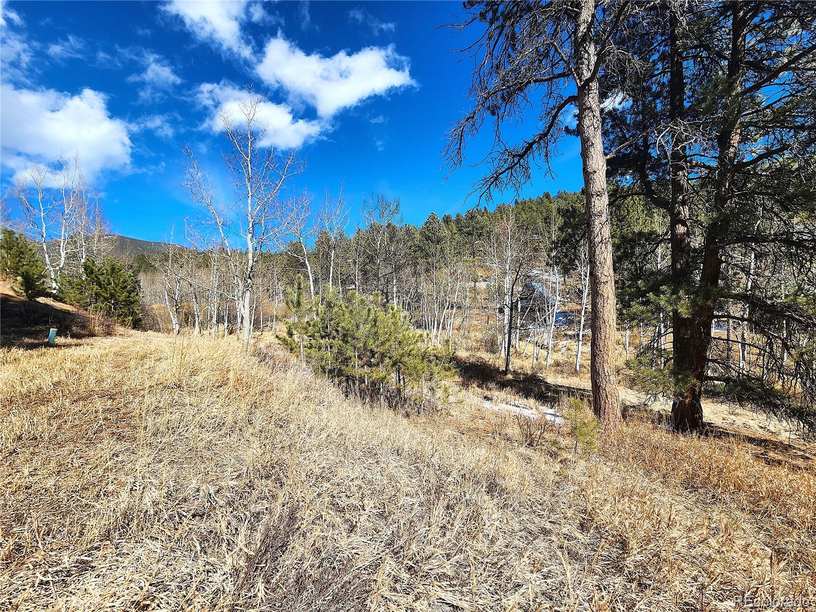 144 Gray Street Bailey CO 80421