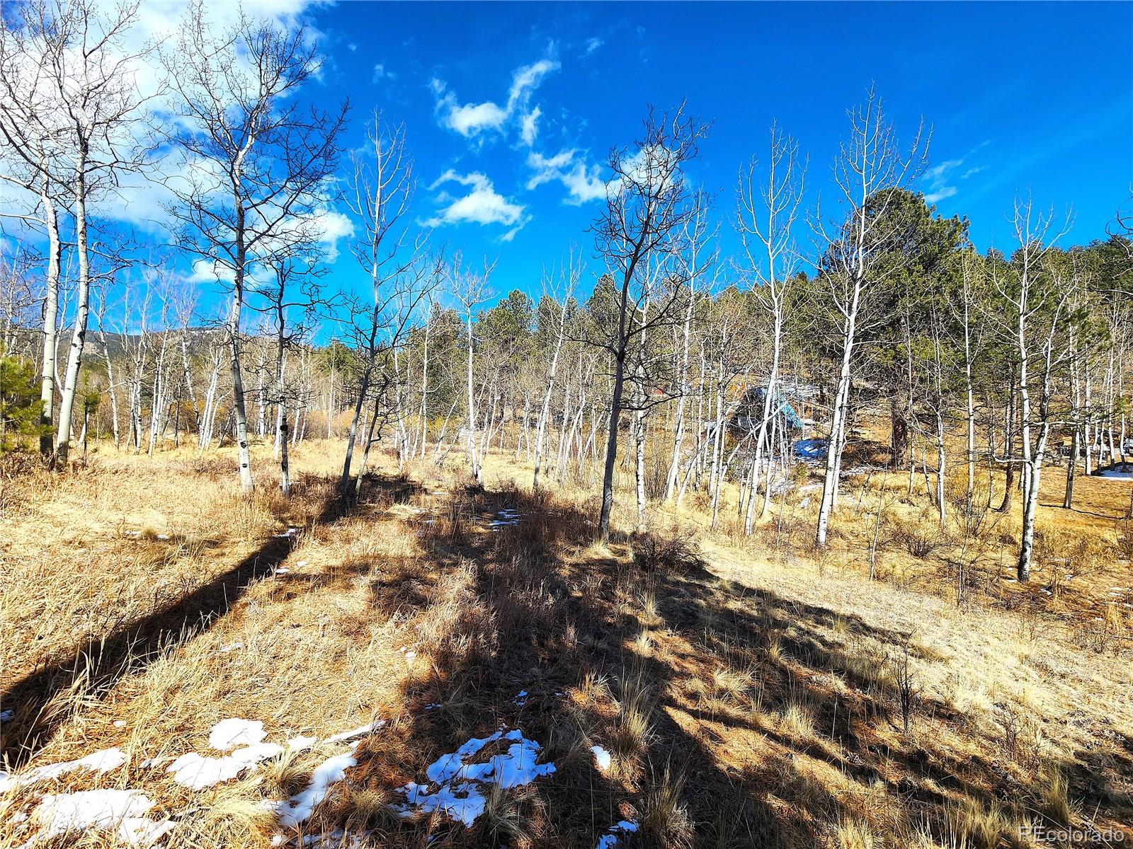 144 Gray Street Bailey CO 80421