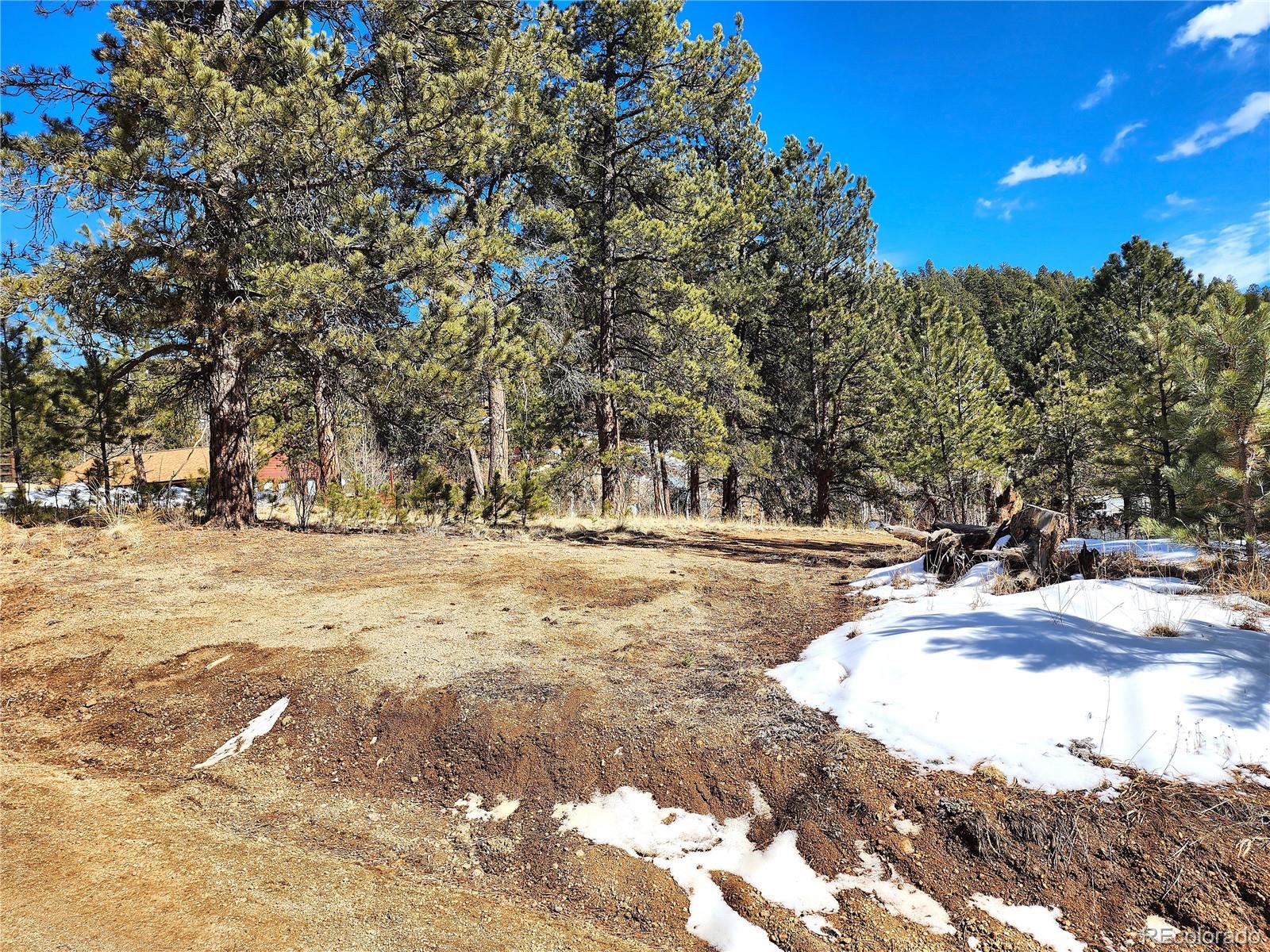 144 Gray Street Bailey CO 80421