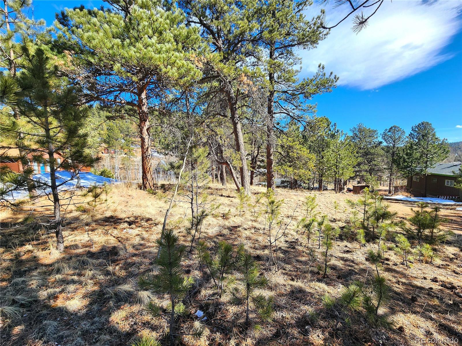 144 Gray Street Bailey CO 80421