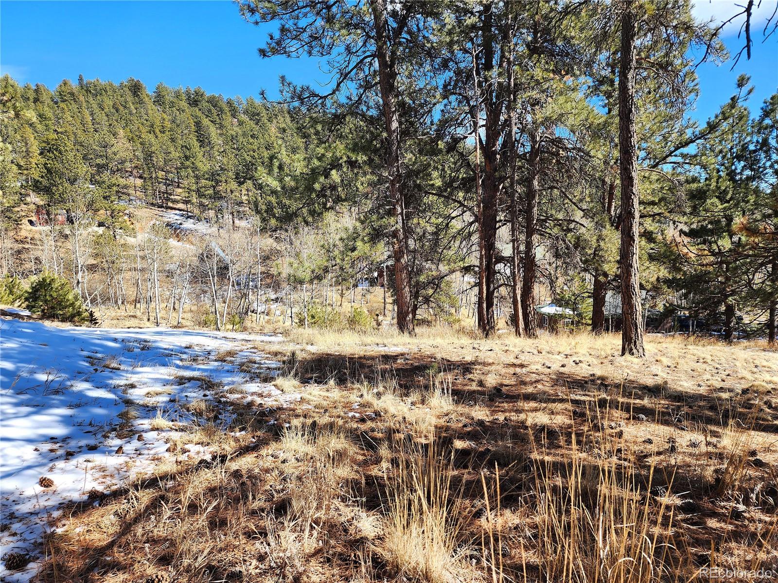 144 Gray Street Bailey CO 80421