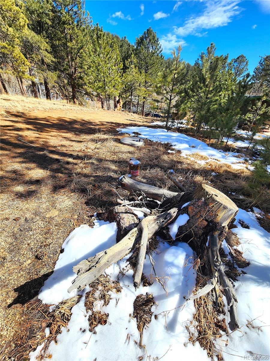 144 Gray Street Bailey CO 80421