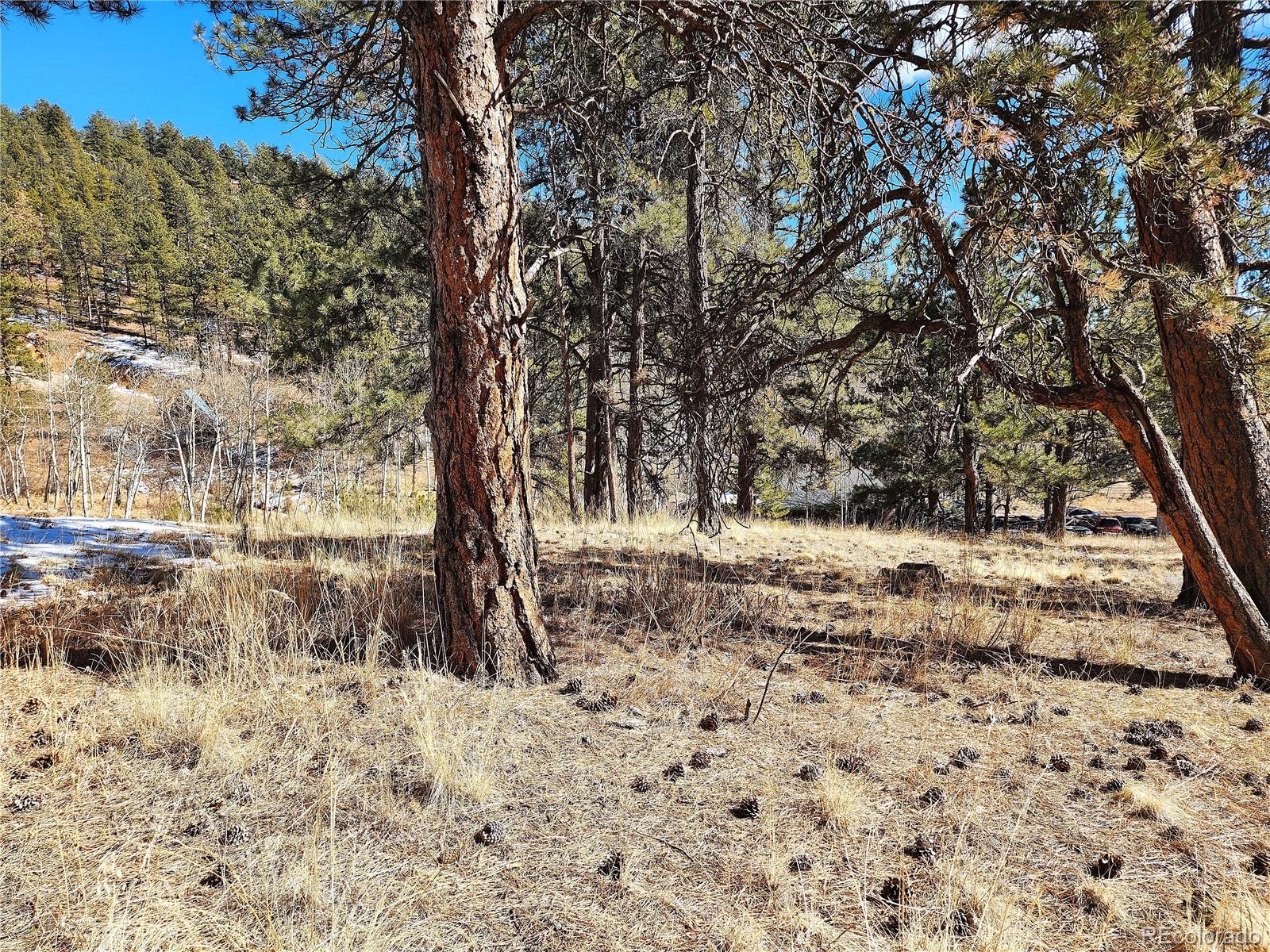 144 Gray Street Bailey CO 80421