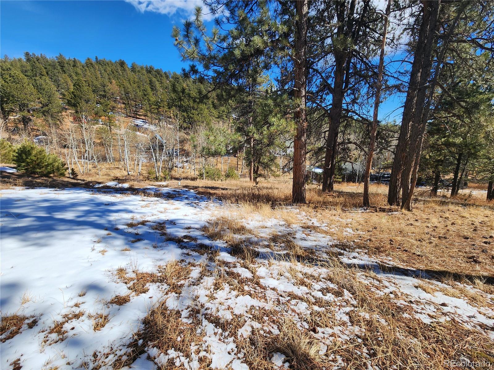 144 Gray Street Bailey CO 80421