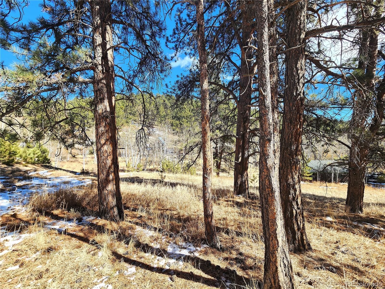 144 Gray Street Bailey CO 80421