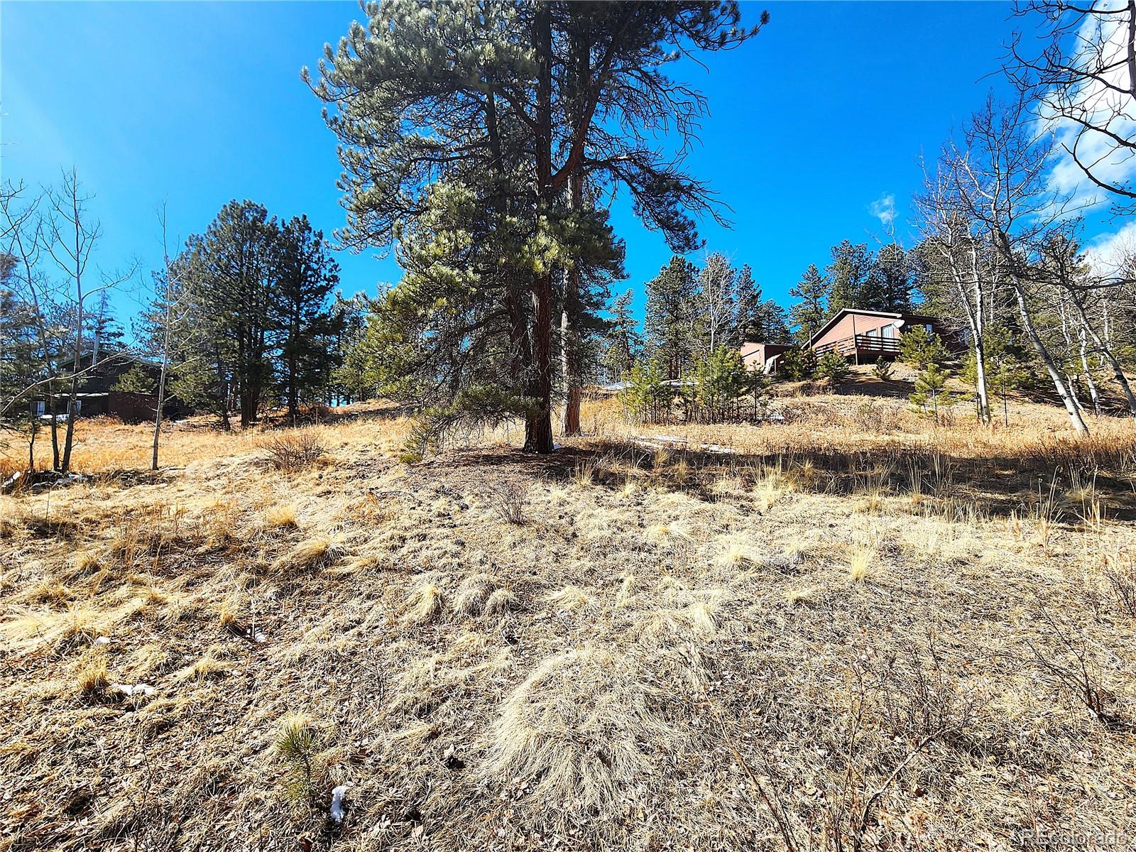 144 Gray Street Bailey CO 80421