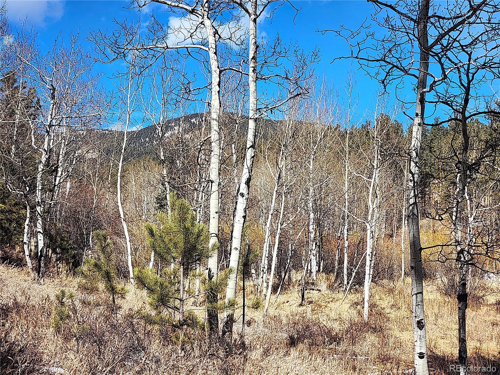 144 Gray Street Bailey CO 80421