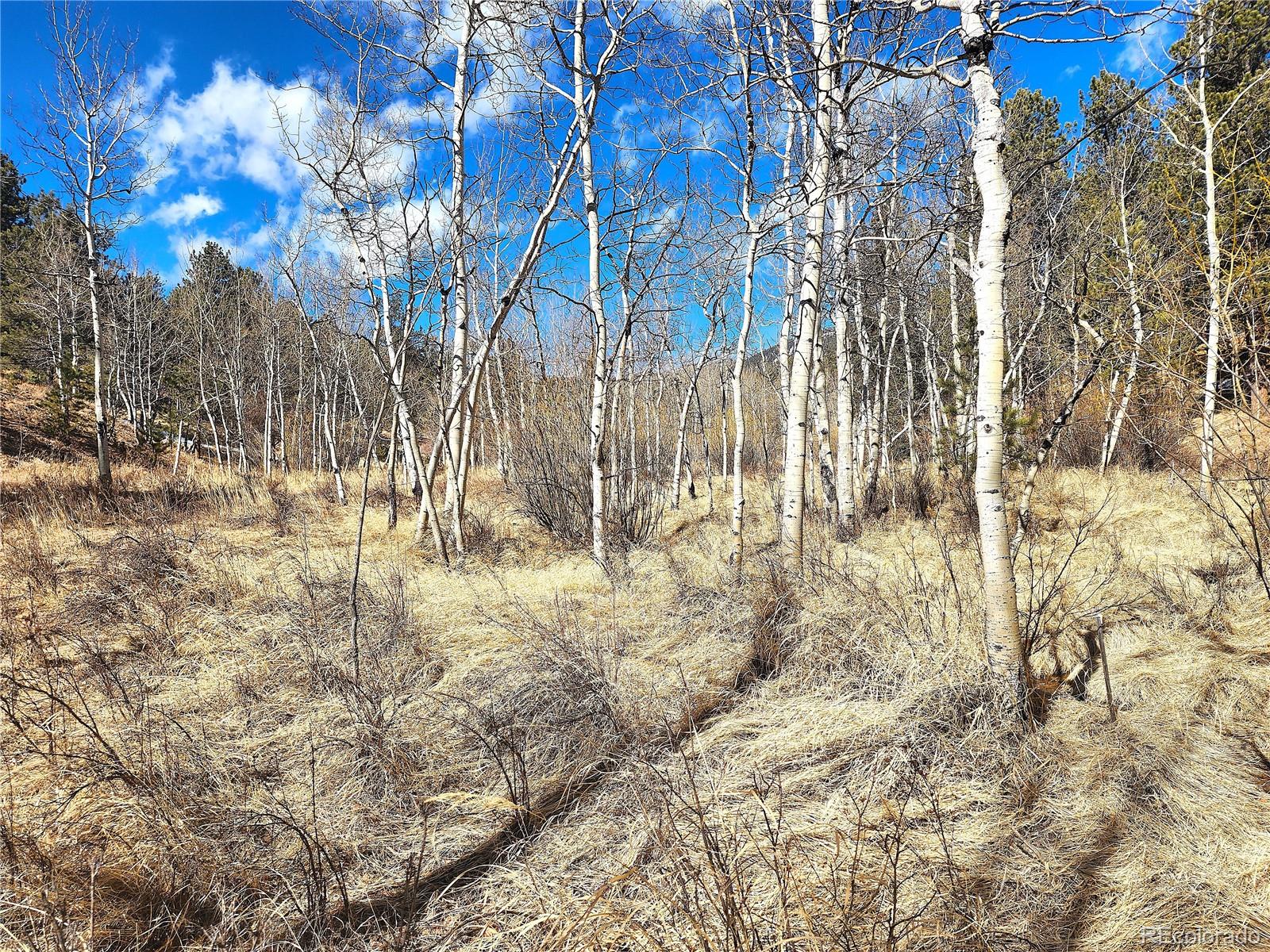 144 Gray Street Bailey CO 80421