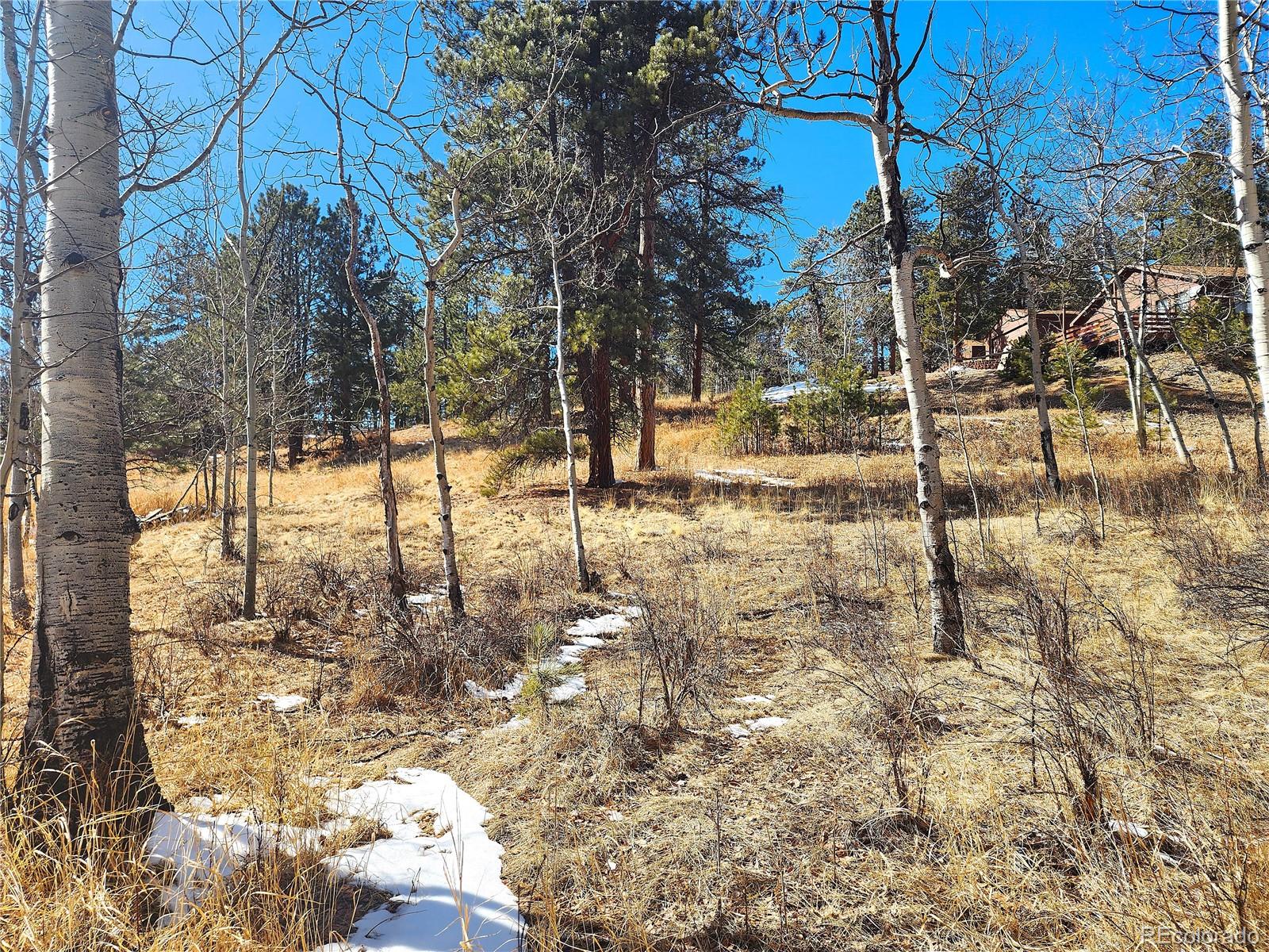144 Gray Street Bailey CO 80421