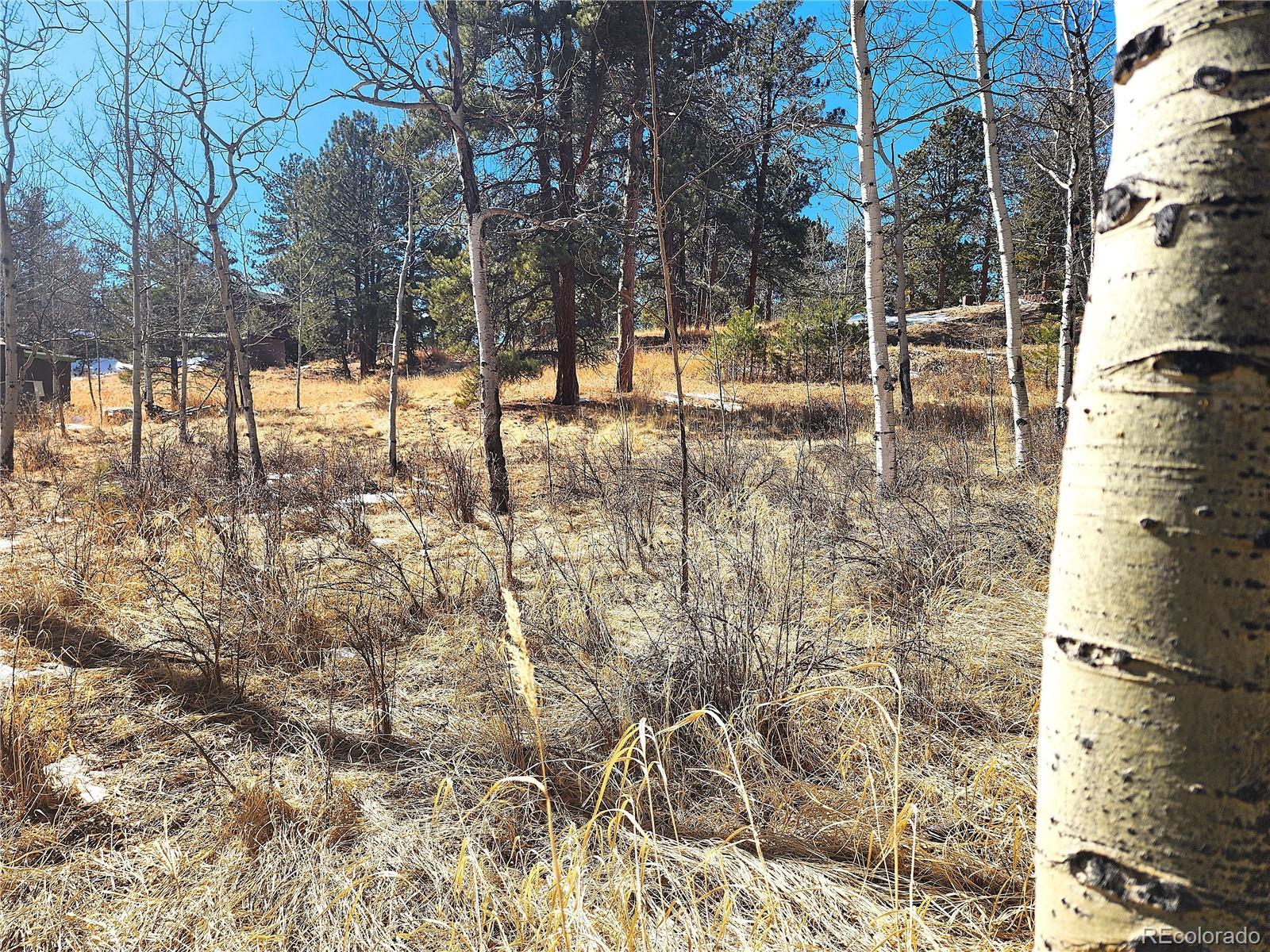 144 Gray Street Bailey CO 80421