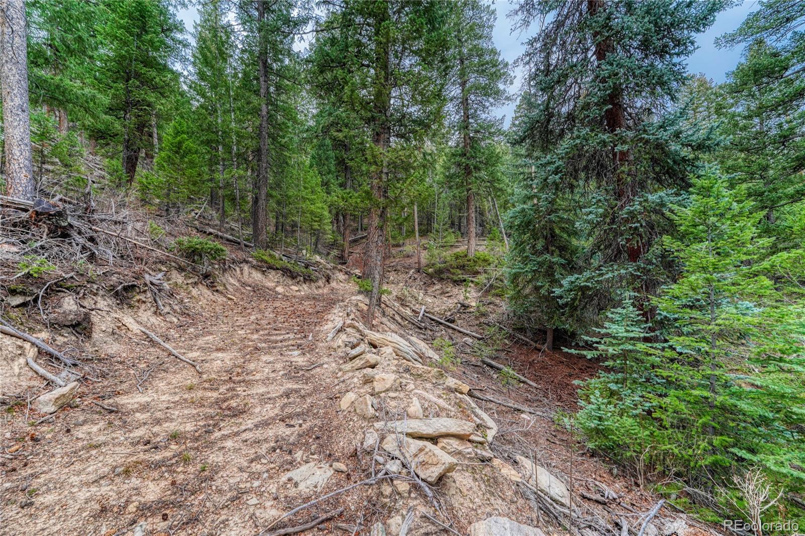 33864 Bergen View Trail Evergreen CO 80439