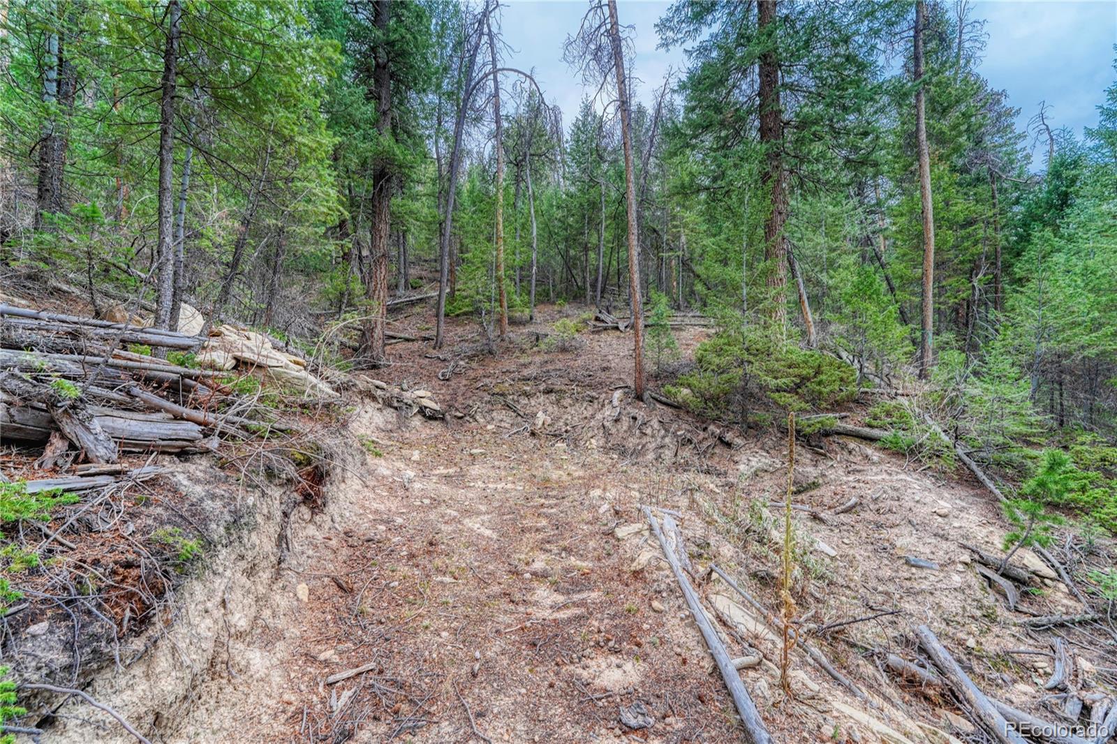 33864 Bergen View Trail Evergreen CO 80439